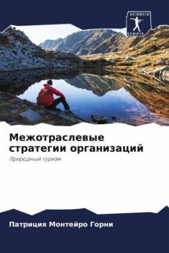 Cover Mezhotraslewye strategii organizacij
