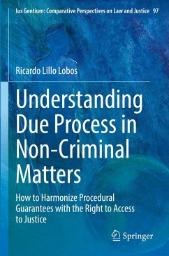 Understanding Due Process in Non-Criminal Matters - Lillo Lobos, Ricardo