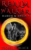 Realm Walker (Harom & Aneja, #1) (eBook, ePUB)