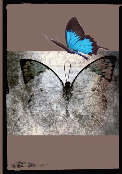 Beautiful Butterfly - Designs, Tbrad