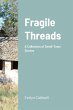 Fragile Threads - Bild 1