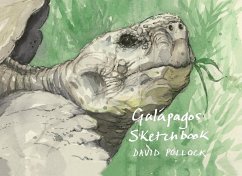 Galapagos Sketchbook - Pollock, David