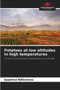Potatoes at low altitudes in high temperatures - Ndikumana, Epaphras