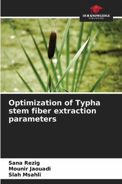 Optimization of Typha stem fiber extraction parameters - Rezig, Sana;Jaouadi, Mounir;Msahli, Slah