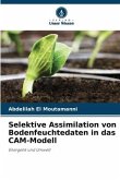 Selektive Assimilation von Bodenfeuchtedaten in das CAM-Modell