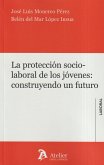 Protección socio-laboral de los jóvenes: construyendo un futuro