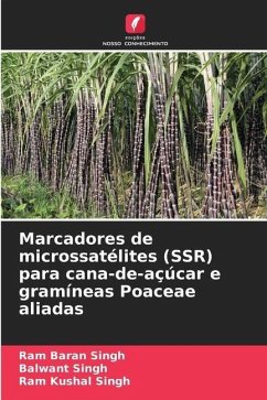 Marcadores de microssatélites (SSR) para cana-de-açúcar e gramíneas Poaceae aliadas - Singh, Ram Baran;Singh, Balwant;Singh, Ram Kushal