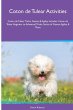 Coton de Tulear Activities Coton de... - Bild 1