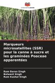 Marqueurs microsatellites (SSR) pour la canne à sucre et les graminées Poaceae apparentées