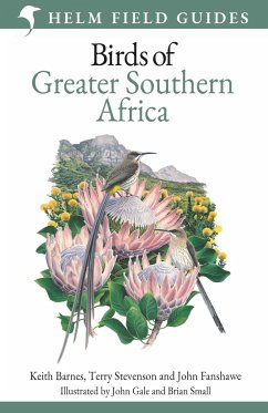 Field Guide to Birds of Greater Southern Africa - Barnes, Keith; Stevenson, Terry; Fanshawe, John