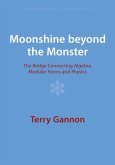 Moonshine Beyond the Monster