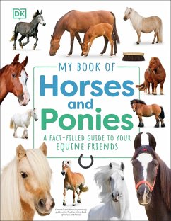 My Book of Horses and Ponies - Dk