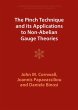 The Pinch Technique and its... - Bild 1