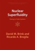 Nuclear Superfluidity