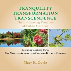 Tranquility Transformation Transcendence - Doyle, Mary K