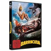 Barracuda