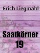 Saatkörner 19 (eBook, ePUB) - Bild 1