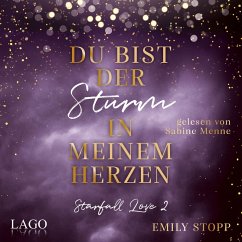 Cover Du bist der Sturm in meinem Herzen (MP3-Download)