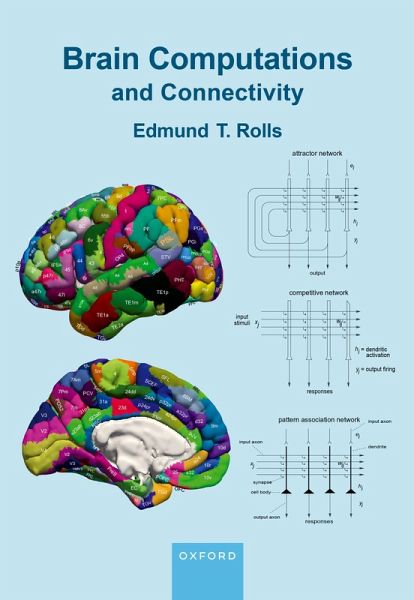 Brain Computations and Connectivity (eBook, PDF)