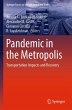 Pandemic in the Metropolis - Bild 1