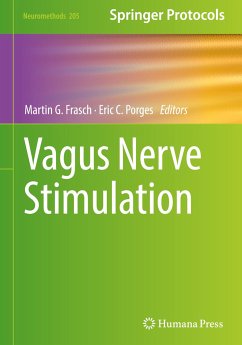 Vagus Nerve Stimulation