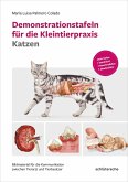 Demonstrationstafeln für die Kleintierpraxis Katzen