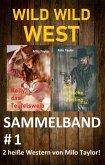 Wild Wild West: Sammelband #1 (eBook, ePUB)