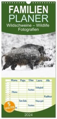 Familienplaner 2024 - Wildschweine ¿ Wildlife Fotografien mit 5 Spalten (Wandkalender, 21 x 45 cm) CALVENDO