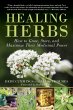 Healing Herbs - Bild 1