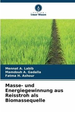 Masse- und Energiegewinnung aus Reisstroh als Biomassequelle - Labib, Mennat A.;A. Gadalla, Mamdouh;H. Ashour, Fatma