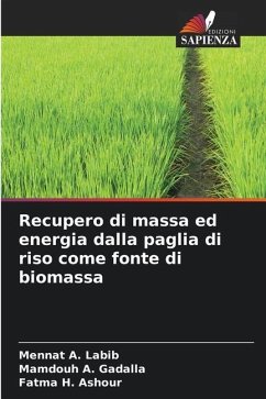 Recupero di massa ed energia dalla paglia di riso come fonte di biomassa - Labib, Mennat A.;A. Gadalla, Mamdouh;H. Ashour, Fatma