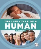 The Life Cycle of a Human