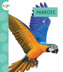 Parrots - Thielges, Alissa