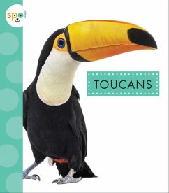 Toucans - Thielges, Alissa