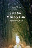 Into the Memory Hole