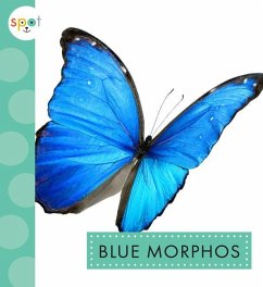 Blue Morphos - Thielges, Alissa