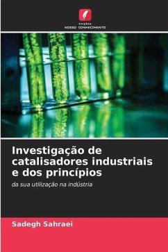 Investigação de catalisadores industriais e dos princípios - Sahraei, Sadegh