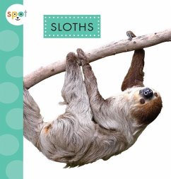 Sloths - Thielges, Alissa