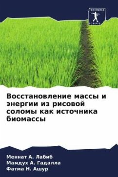 Vosstanowlenie massy i änergii iz risowoj solomy kak istochnika biomassy - Labib, Mennat A.;A. Gadalla, Mamduh;H. Ashur, Fatma