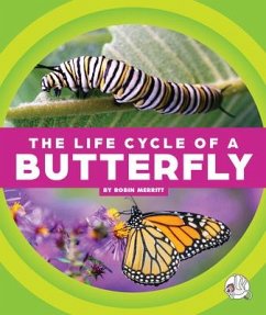 The Life Cycle of a Butterfly - Merritt, Robin