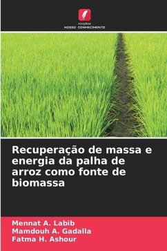 Recuperação de massa e energia da palha de arroz como fonte de biomassa - Labib, Mennat A.;A. Gadalla, Mamdouh;H. Ashour, Fatma