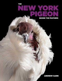 The New York Pigeon - Garn, Andrew