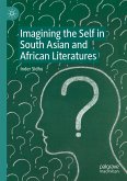 Imagining the Self in South Asian and African Literatures (eBook, PDF)