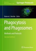 Phagocytosis and Phagosomes (eBook, PDF)