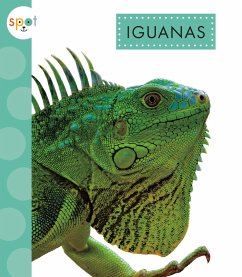 Iguanas - Thielges, Alissa