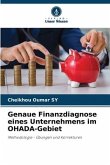 Genaue Finanzdiagnose eines Unternehmens im OHADA-Gebiet
