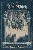 The Witch and Other Tales of the American Gothic (eBook, ePUB)