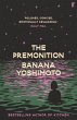 The Premonition (eBook, ePUB) - Bild 1