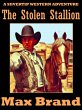 The Stolen Stallion (eBook, ePUB) - Bild 1