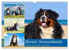 Berner Sennenhunde - Traumhunde mit Charme (Wandkalender 2024 DIN A3 quer), CALVENDO Monatskalender